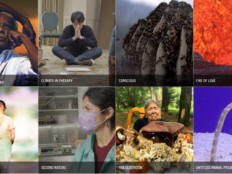 Sundance Institute Sandbox Fund 2022 grantee projects