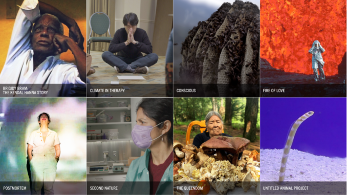 Sundance Institute Sandbox Fund 2022 grantee projects