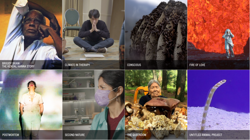 Sundance Institute Sandbox Fund 2022 grantee projects