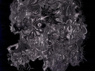 Take & Take – Disillusion album cover