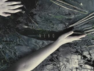 THEODOR BASTARD Nebo single cover