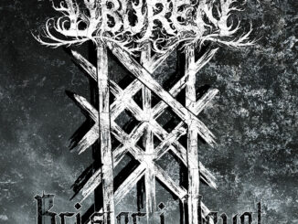 UBUREN – Brister i Vevet single cover artwork