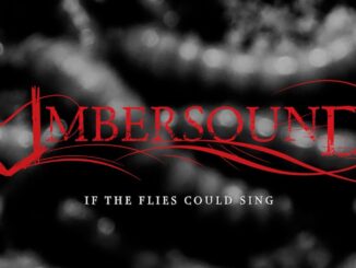 UMBERSOUND – If The Flies Could Sing official music video