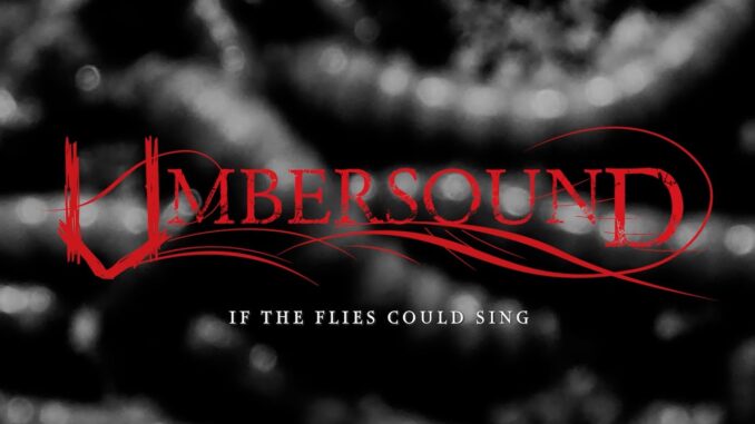 UMBERSOUND – If The Flies Could Sing official music video