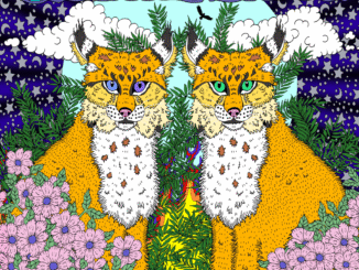 Valley Lodge – Shadows in Paradise album artwork