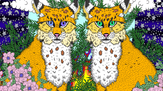 Valley Lodge – Shadows in Paradise album artwork