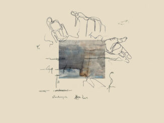 Vandampire Hope Scars album cover